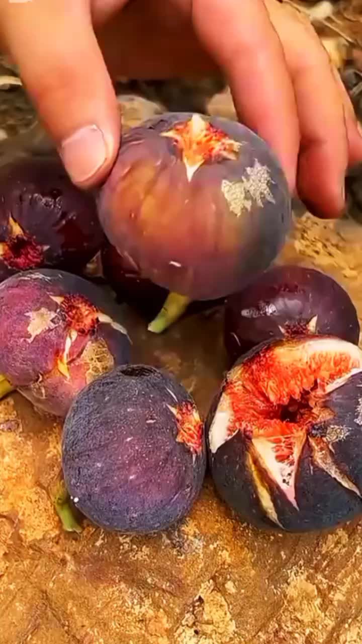 @◉‿◉