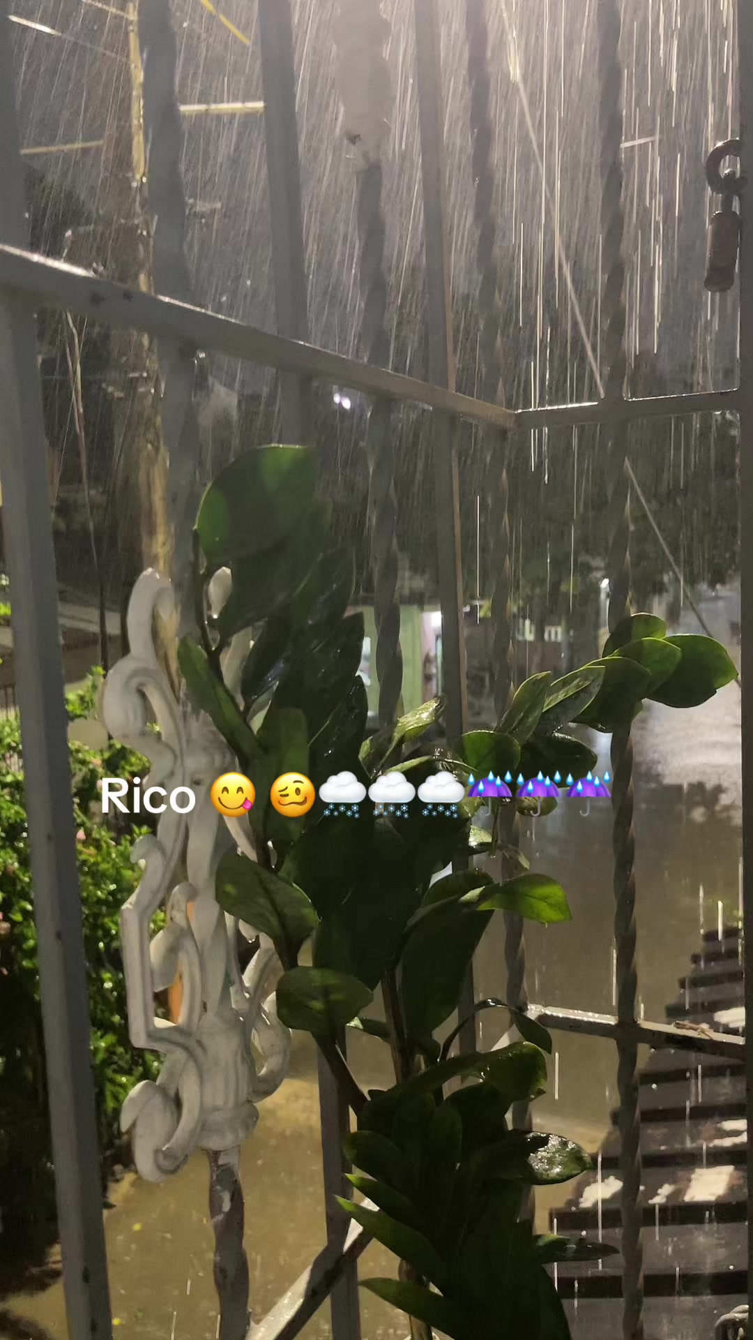 @goldita_2