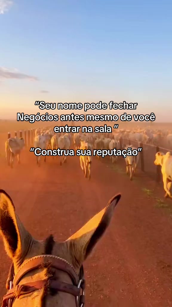 @lukasvieira_🍀