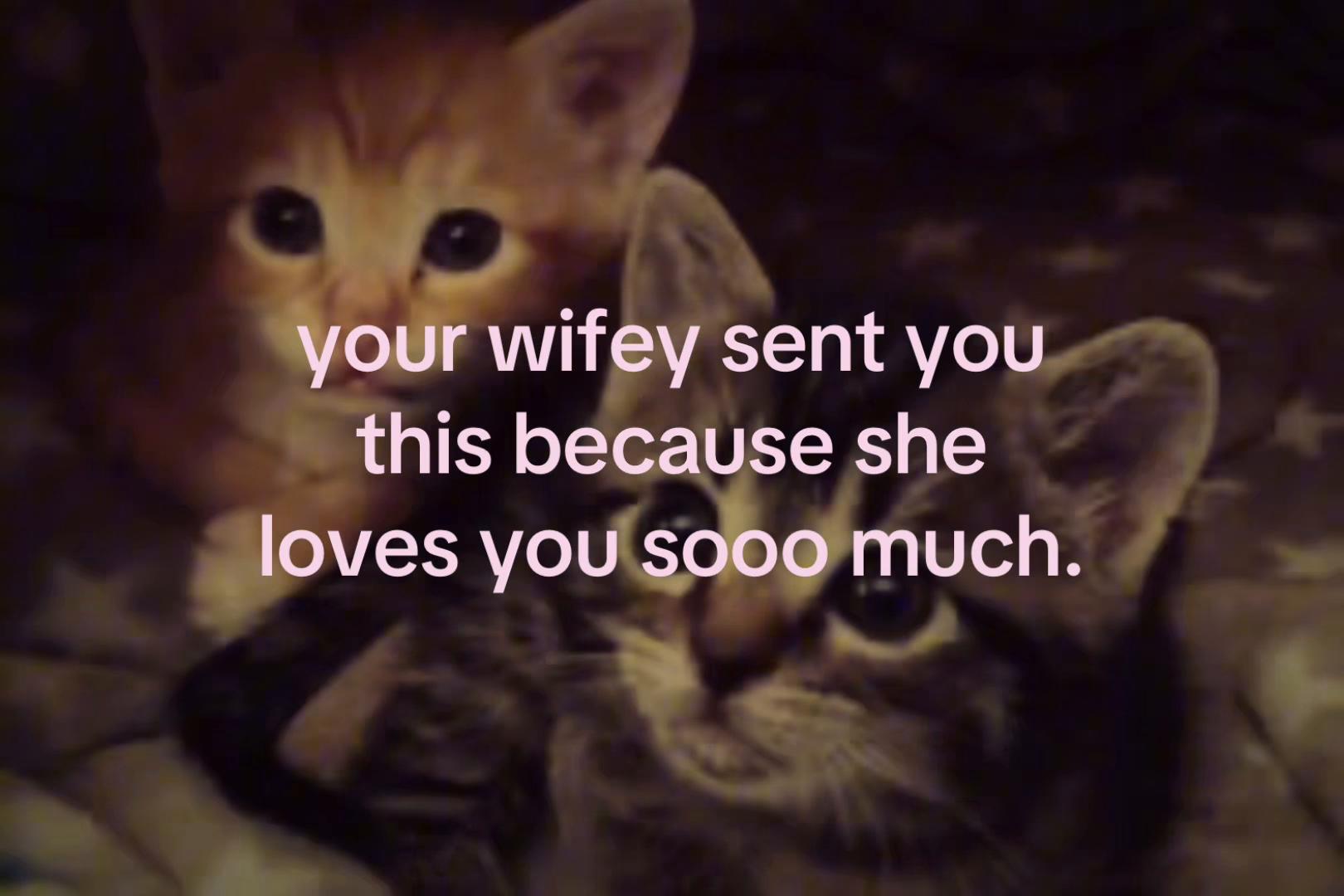 @sxalenz