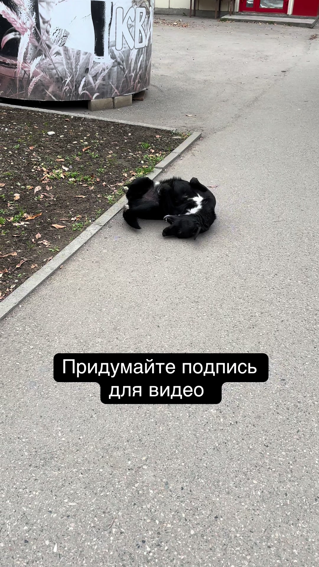 @Viktoria_pobeda