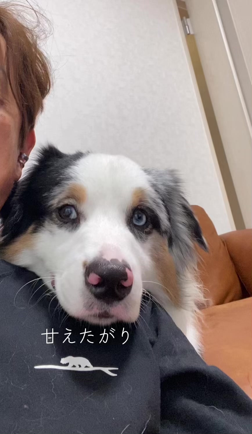 @サン&タマ