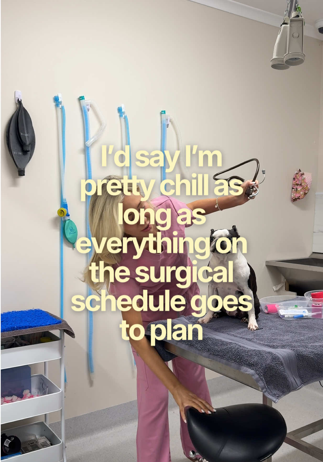@Tess the Vet Nurse