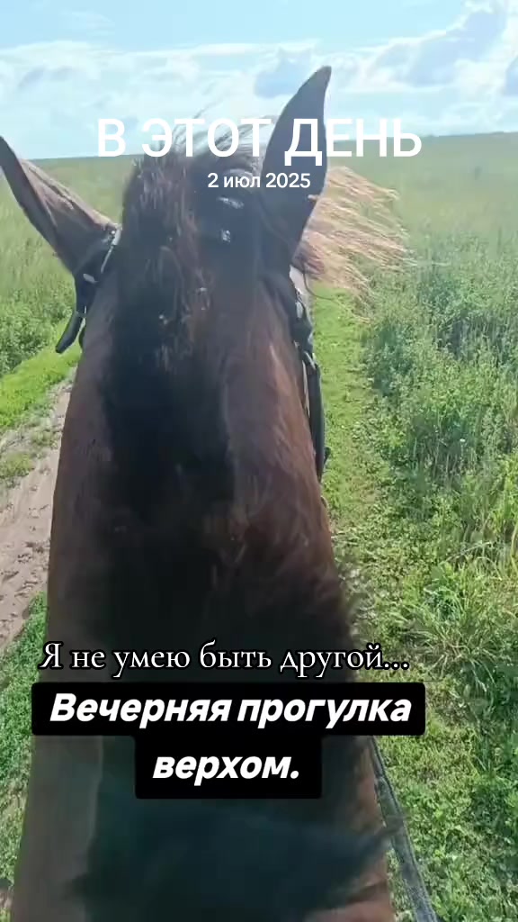 @Елена