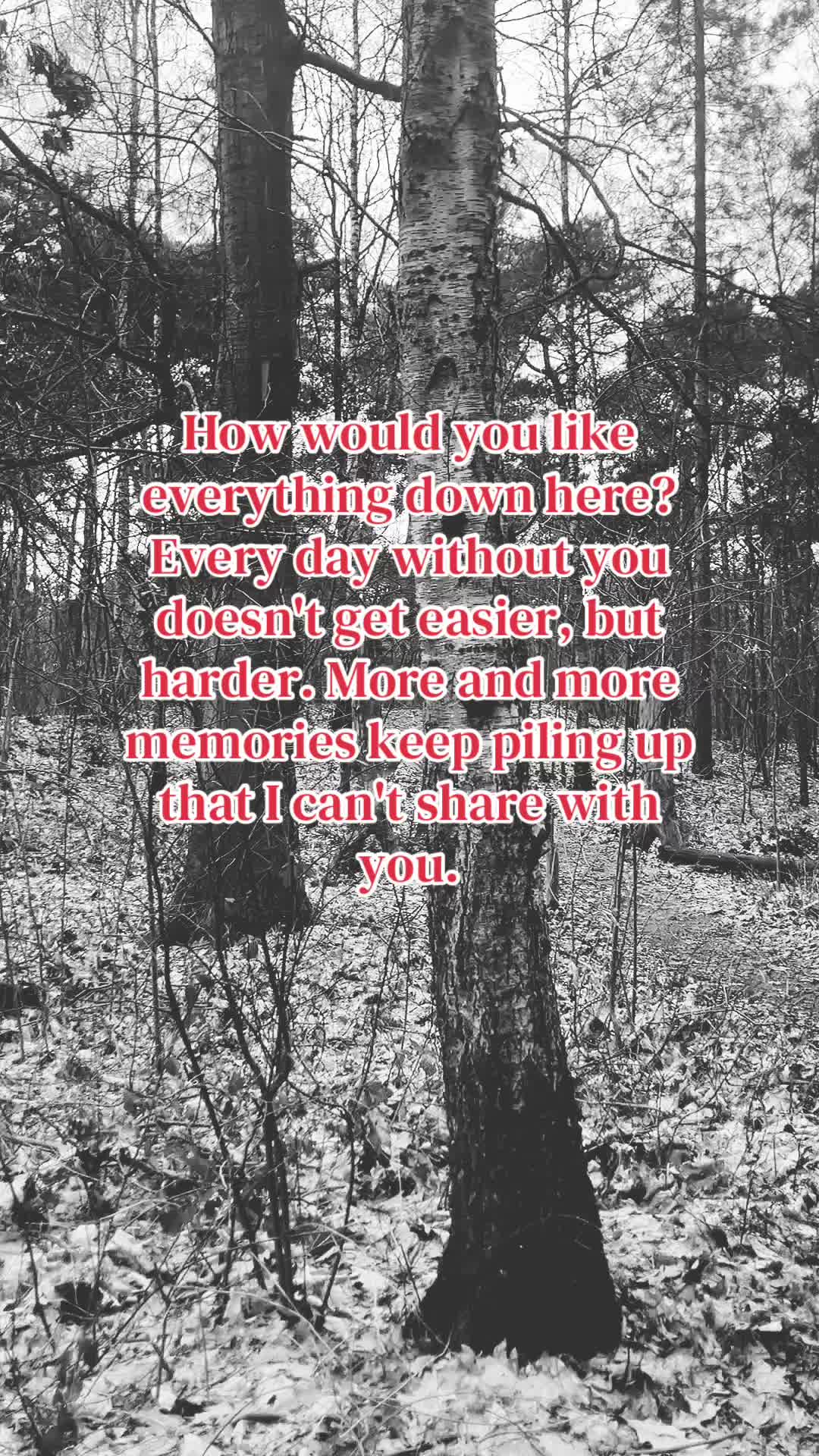 @Grief&Pain🦋💔🧝&zwj;♀️🪽
