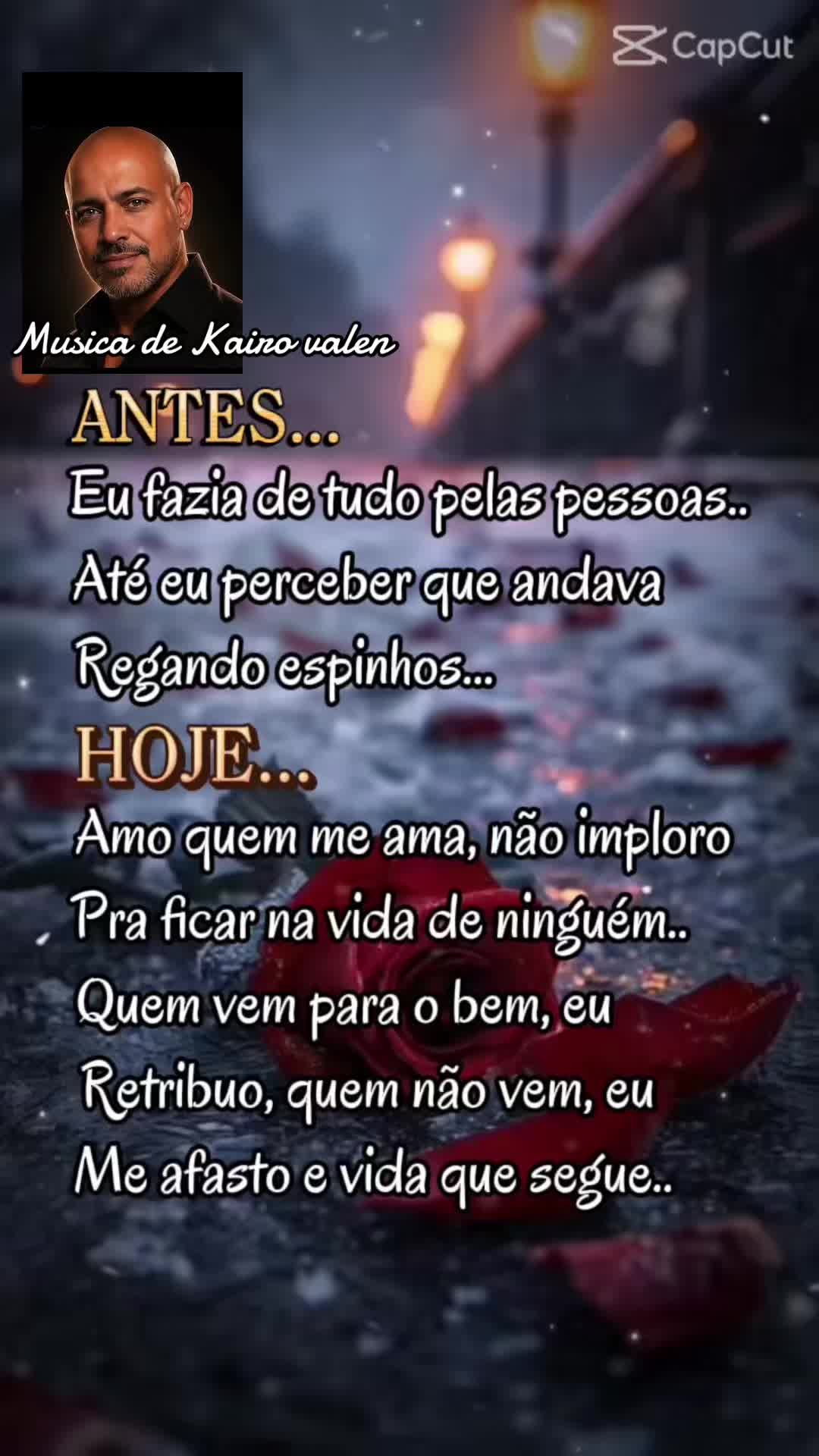 @borboleta2867