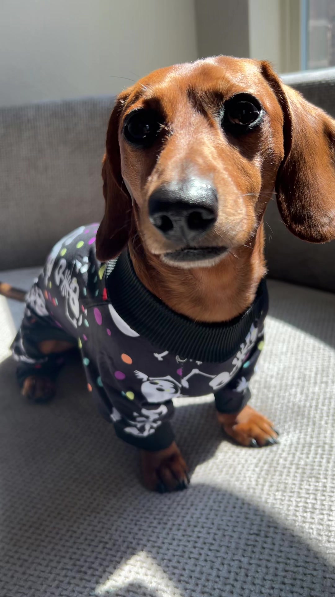 @Slinky Severus-Doo
