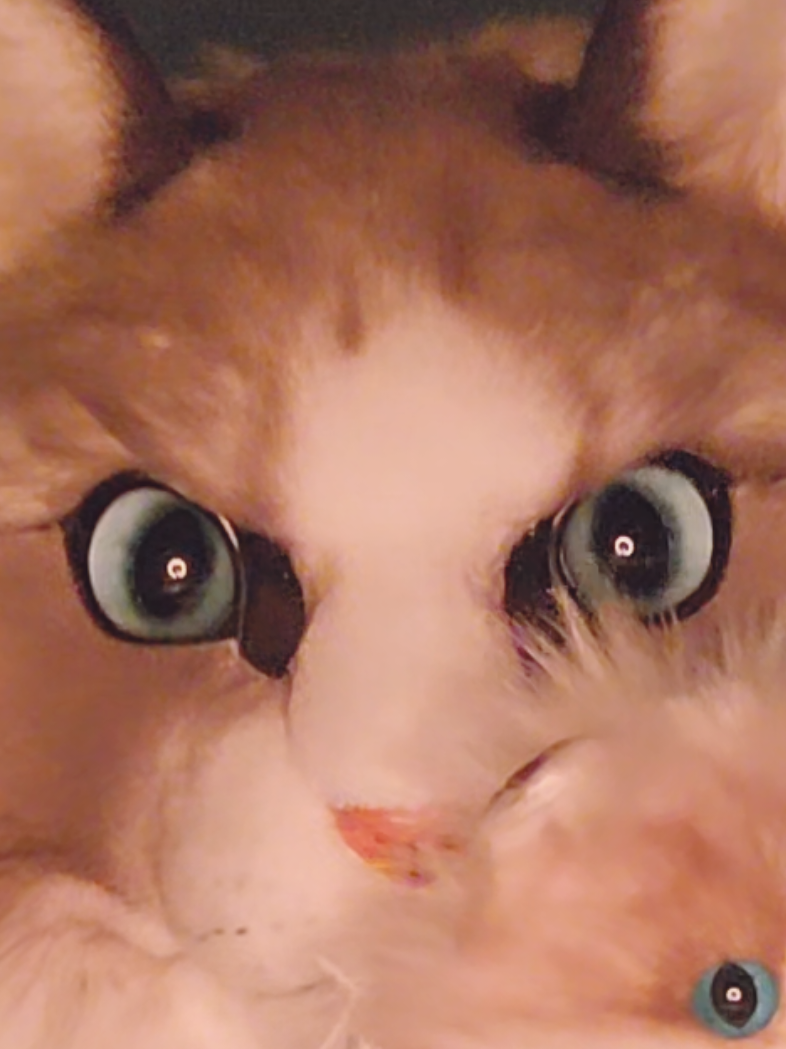 @♡Vix♡