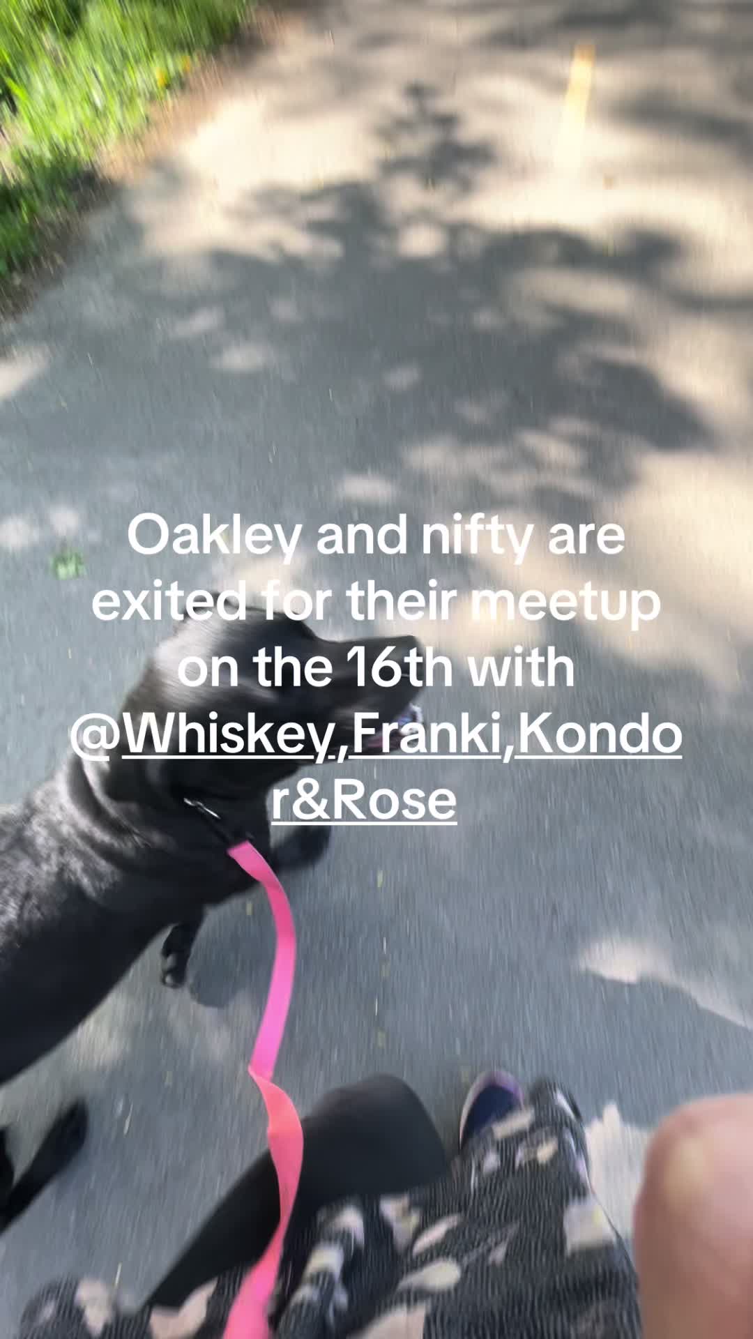 @Oakley-Nifty-Lucifer