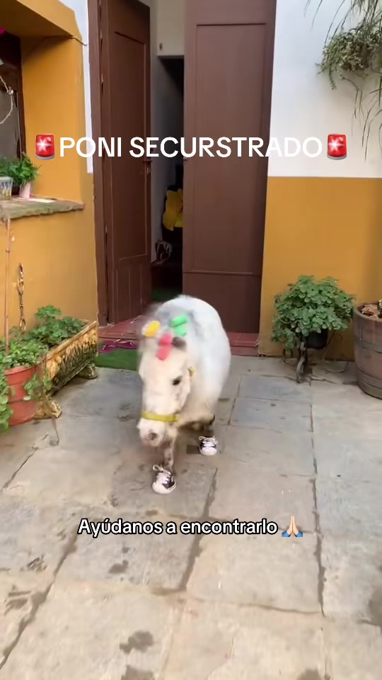 @Blanka Satora