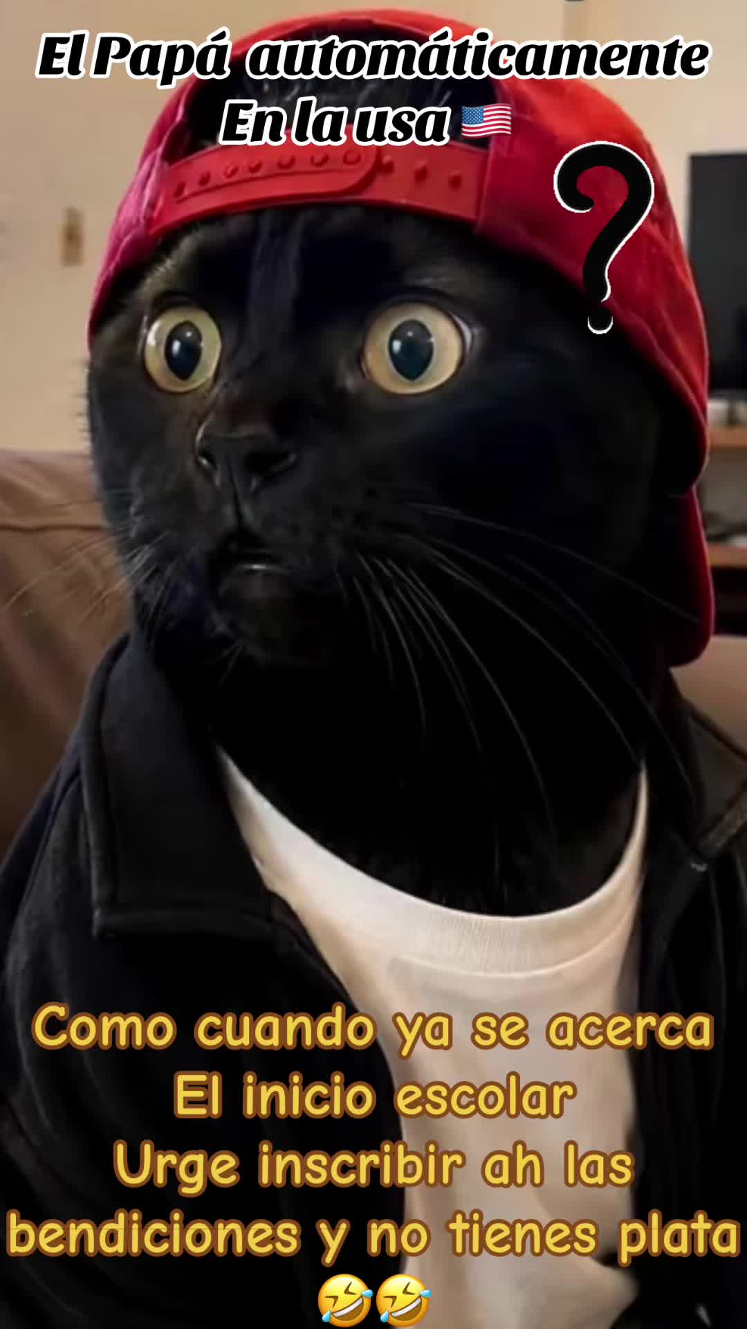 @Jenny pantera negra