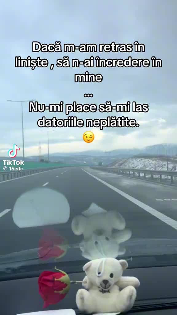 @Veronica Mihaela