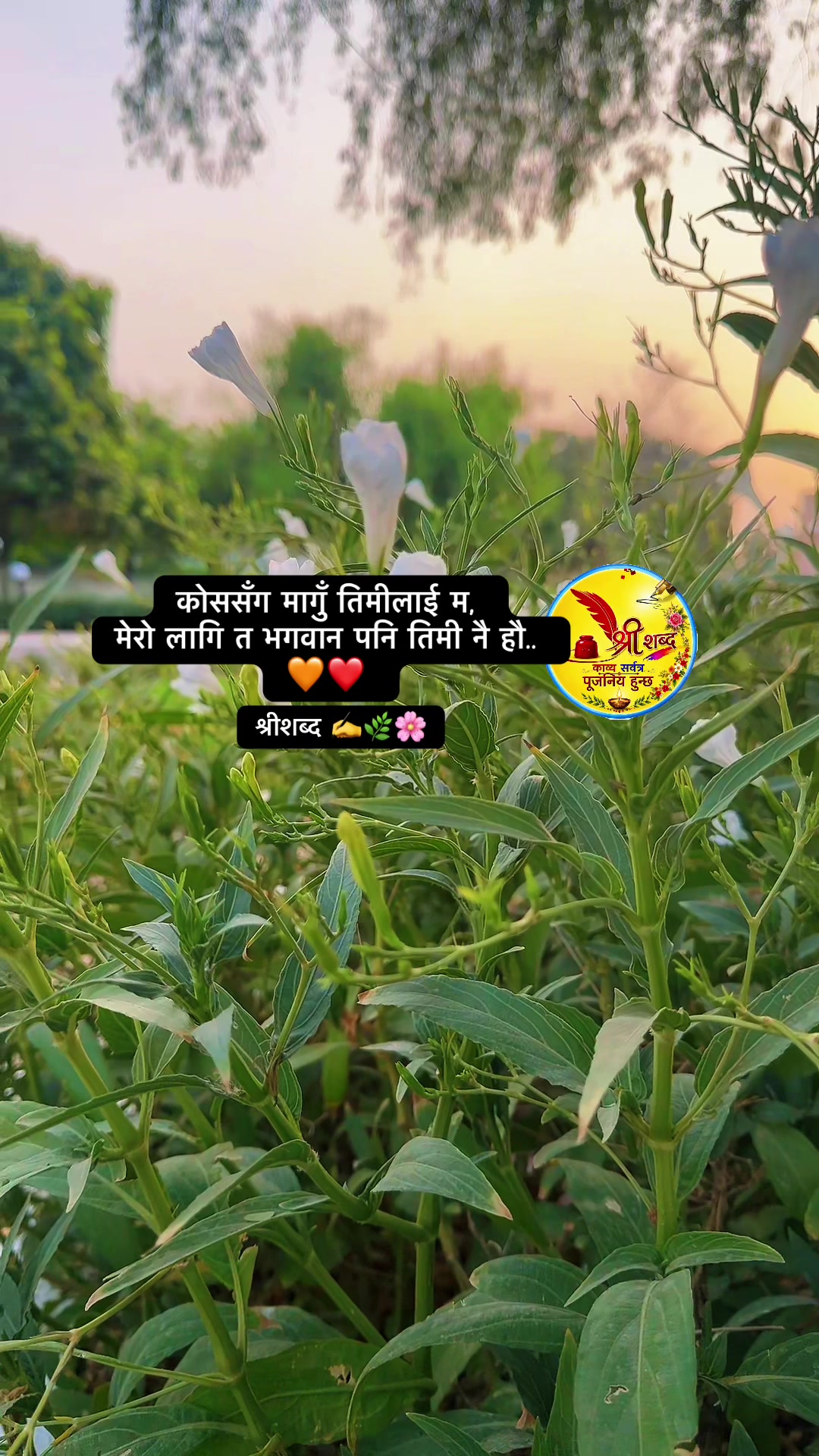 @🌿श्रीशब्द….✍️🕊️🍁🍂