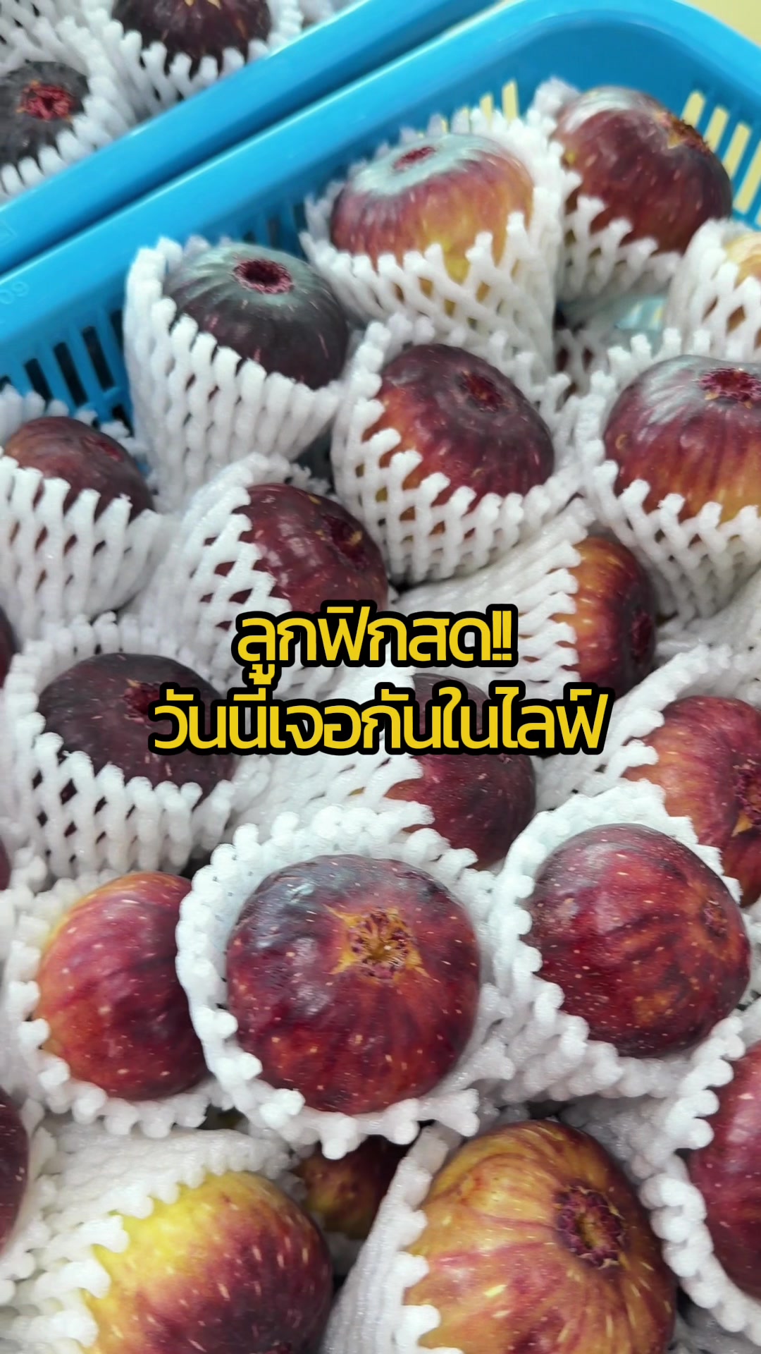 @Madame Fruit ผลไม้ต่างประเทศ