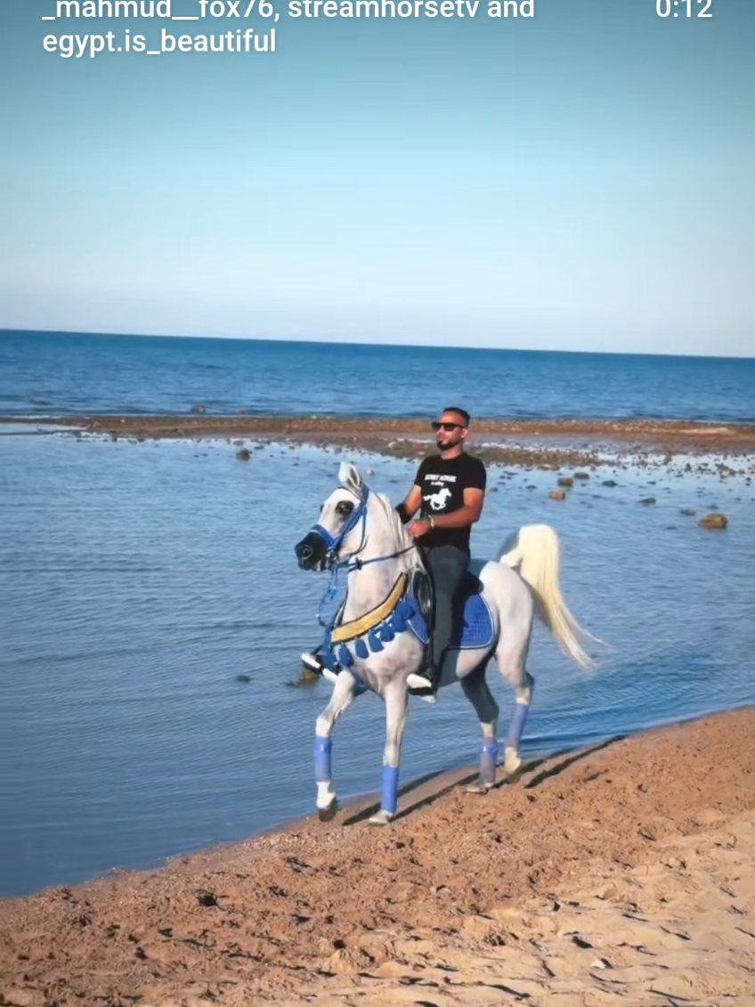 @streamhorse