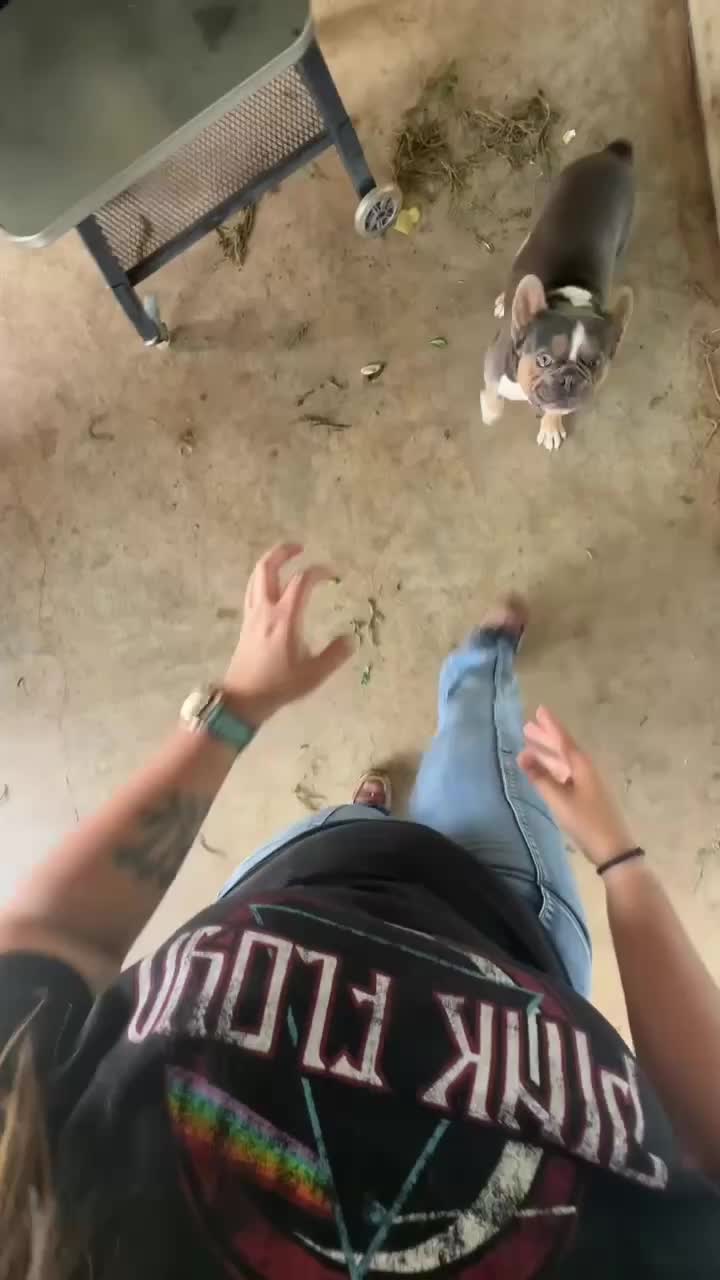 @Adrianna