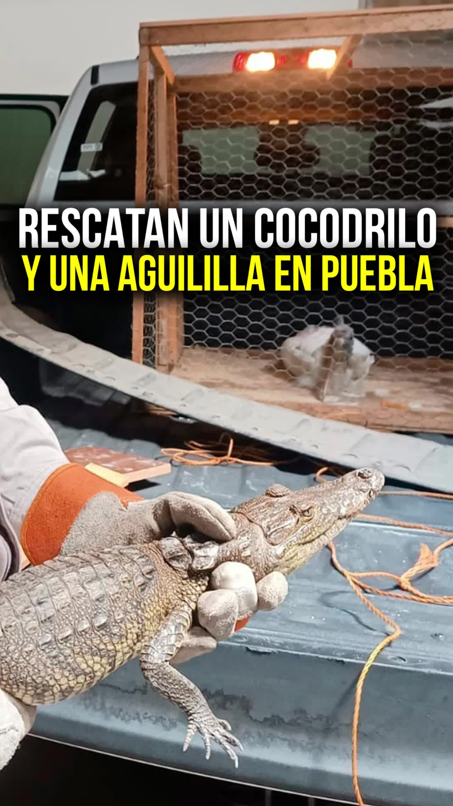 @El Sol de Puebla