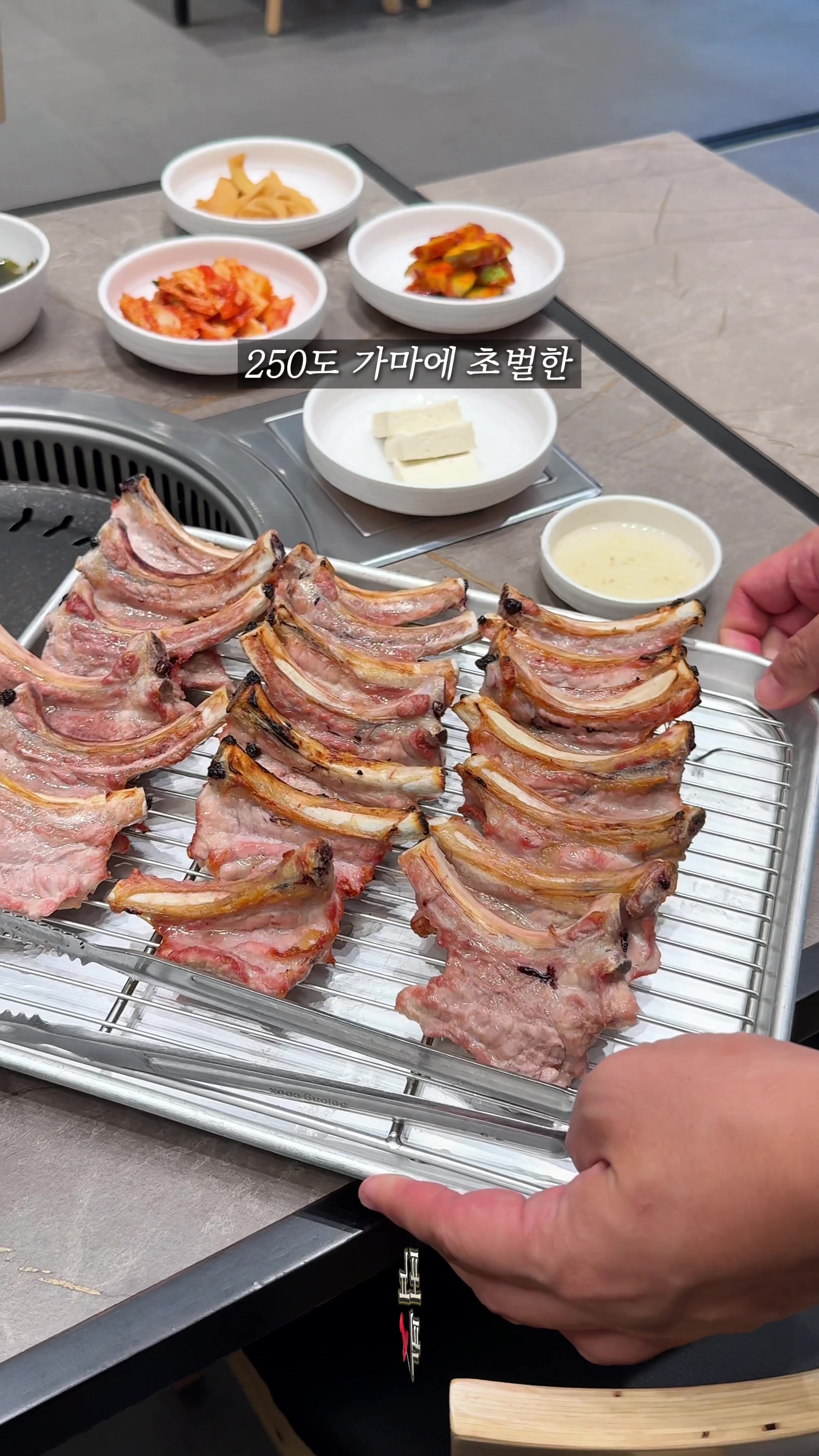 @포뇨픽ㅣ청주맛집&bull;대전맛집&bull;세종맛집