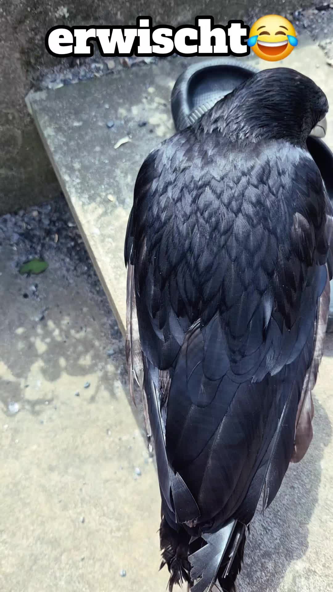 @โ๏ธ๏ธ๏ธ๐
๏ธ๐
ค๏ธ๐
๏ธ๐
๏ธ๐
๏ธ๐
๏ธ๐
๏ธโ๏ธ๏ธ๏ธ