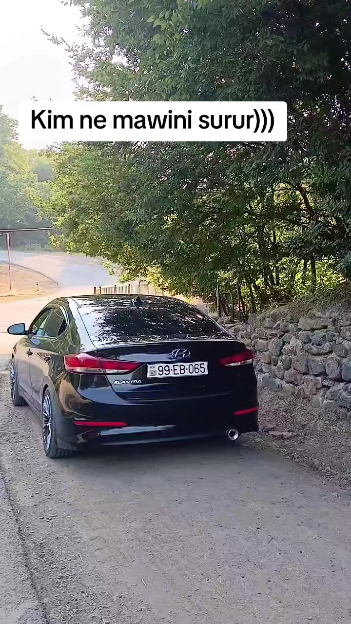 @elmar_065