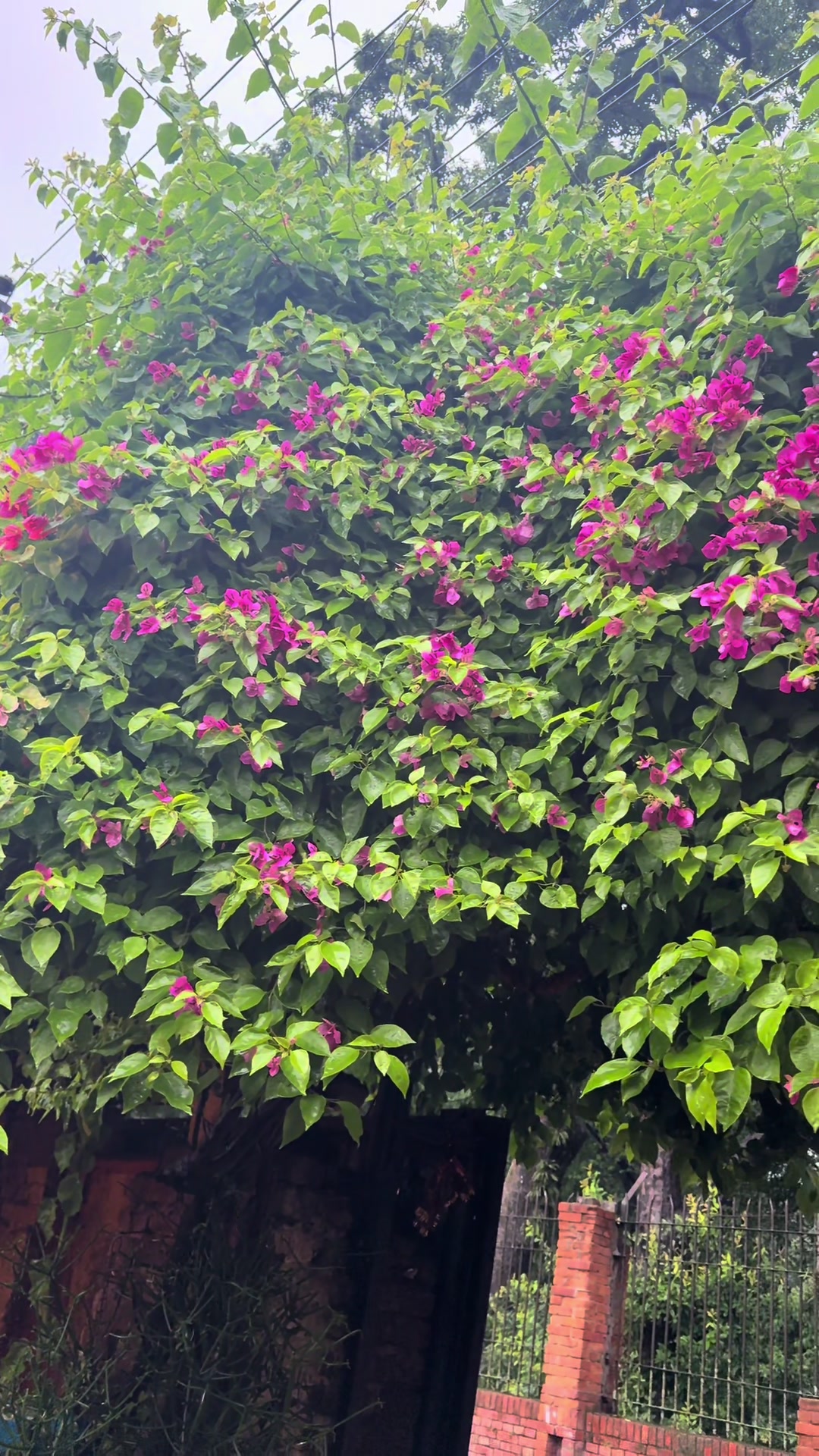 @Rajendra pandey