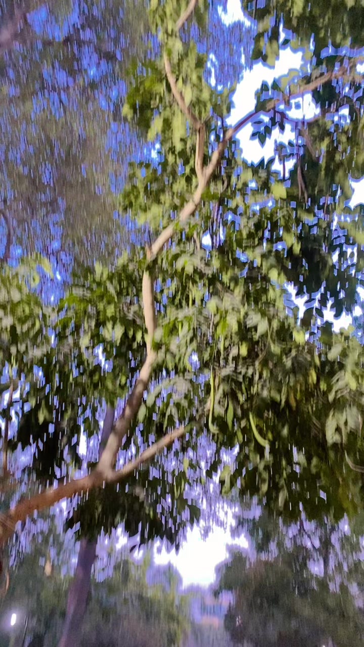 @🦅🌸F a,Gulli🦅🌹