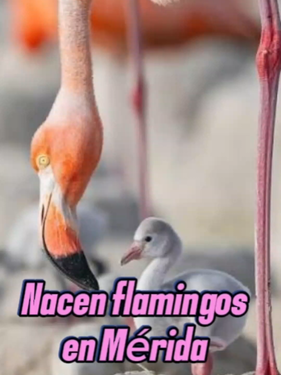 @Camino Hacia la Verdad