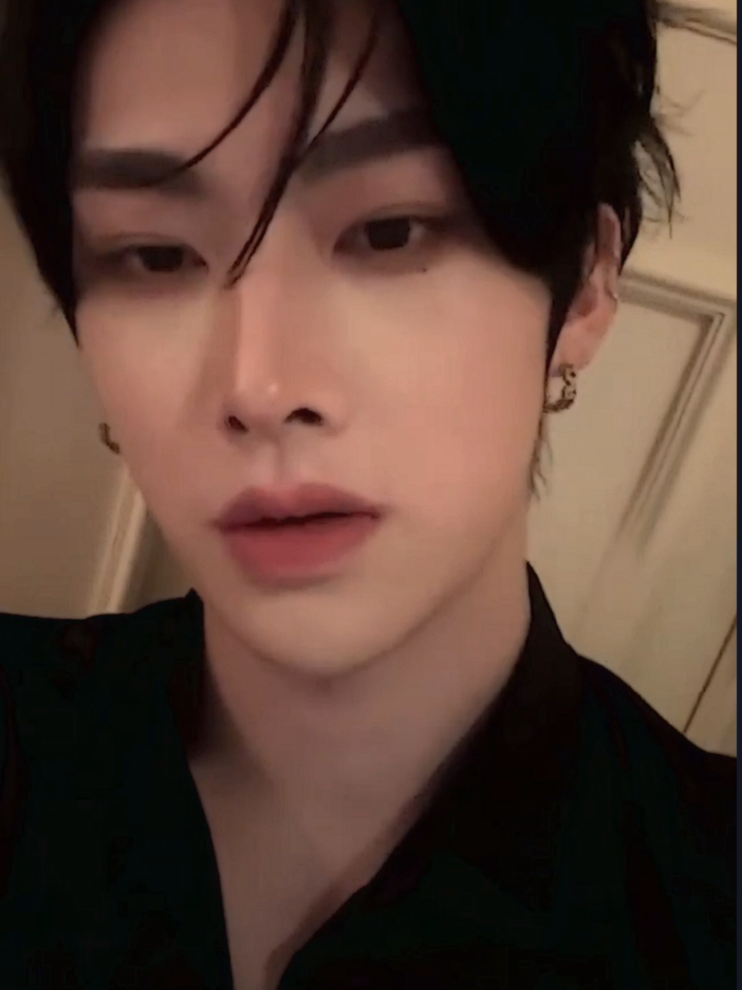 @rui ! 🐈