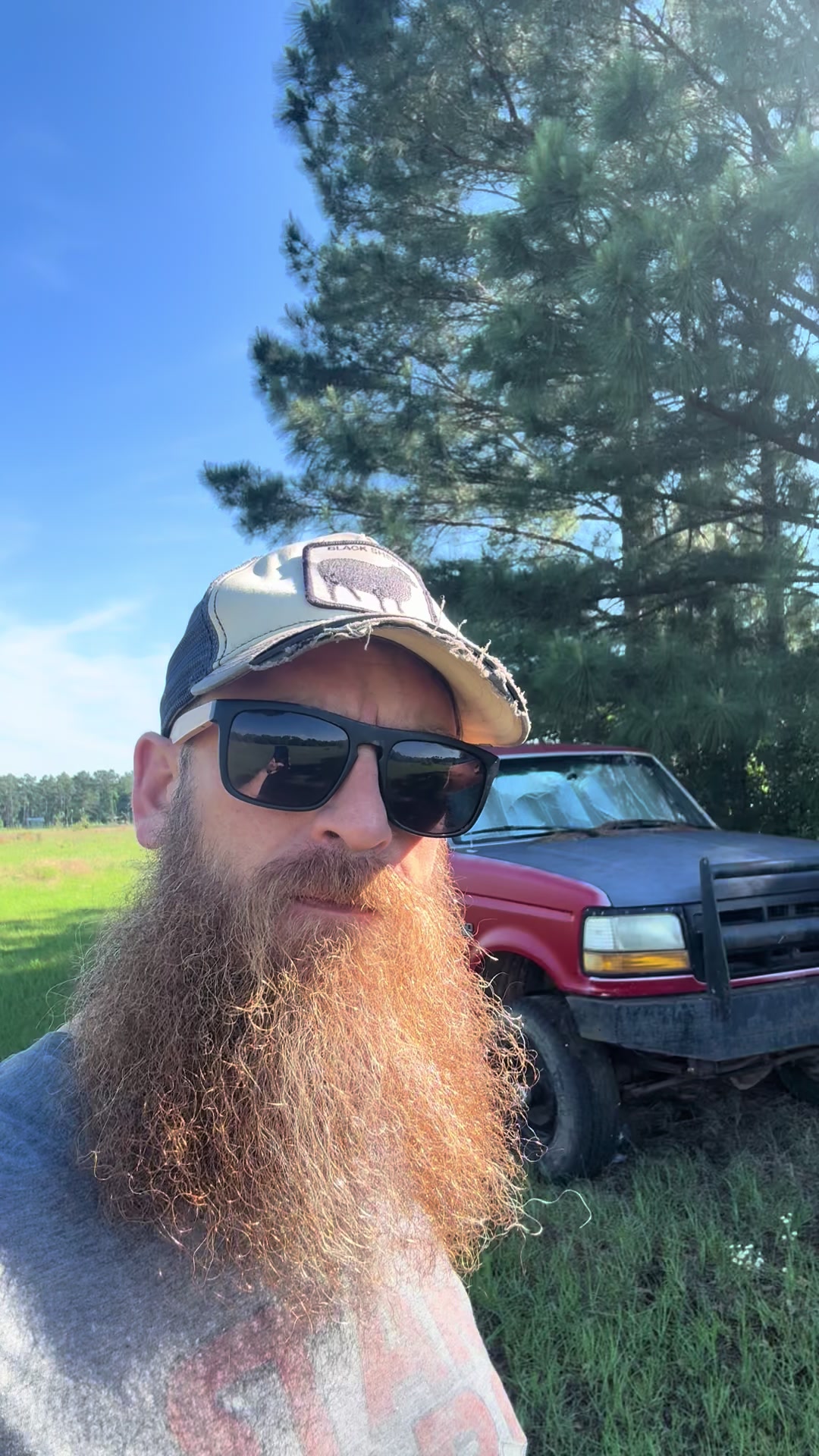 @Bearded bee man