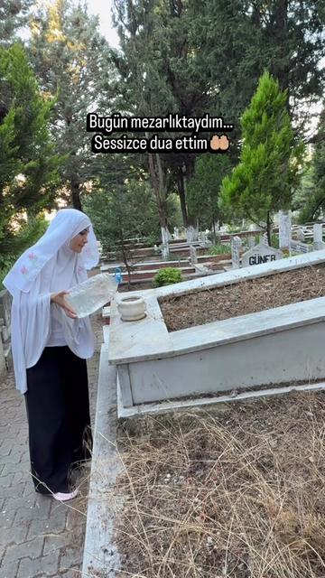 @arya_ccelik
