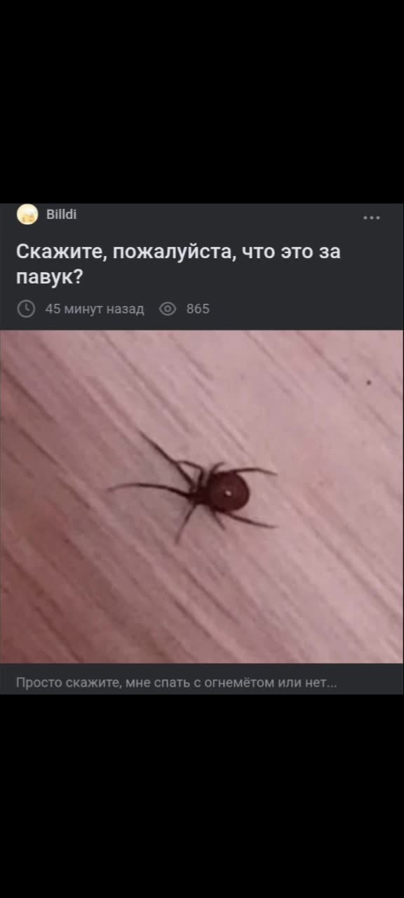 @BilDi
