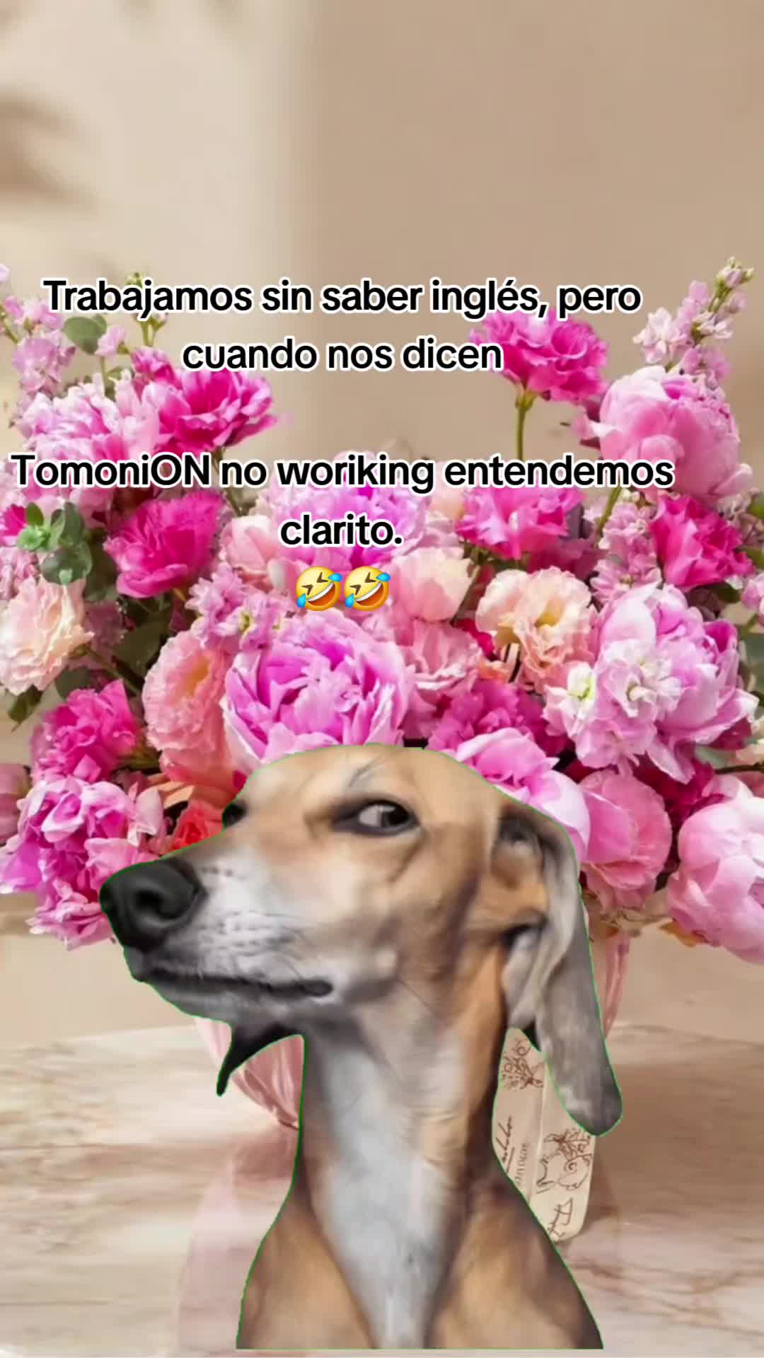 @ingridm