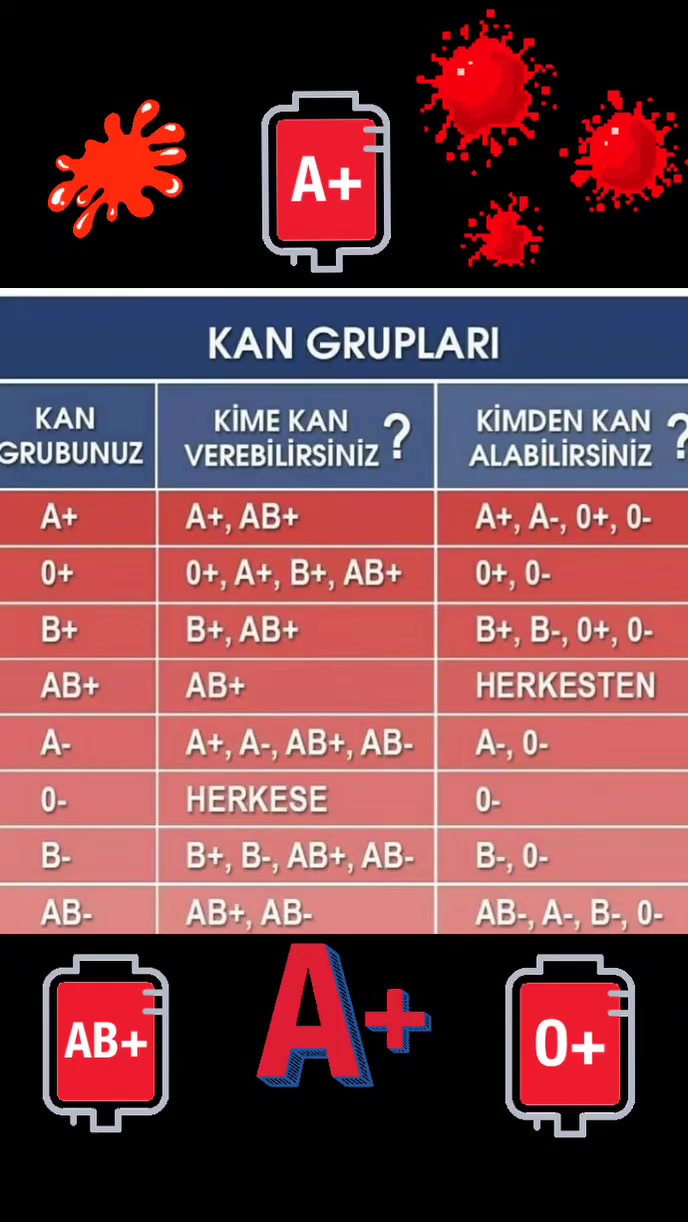 @Selçuk Tuna 🐈⬛