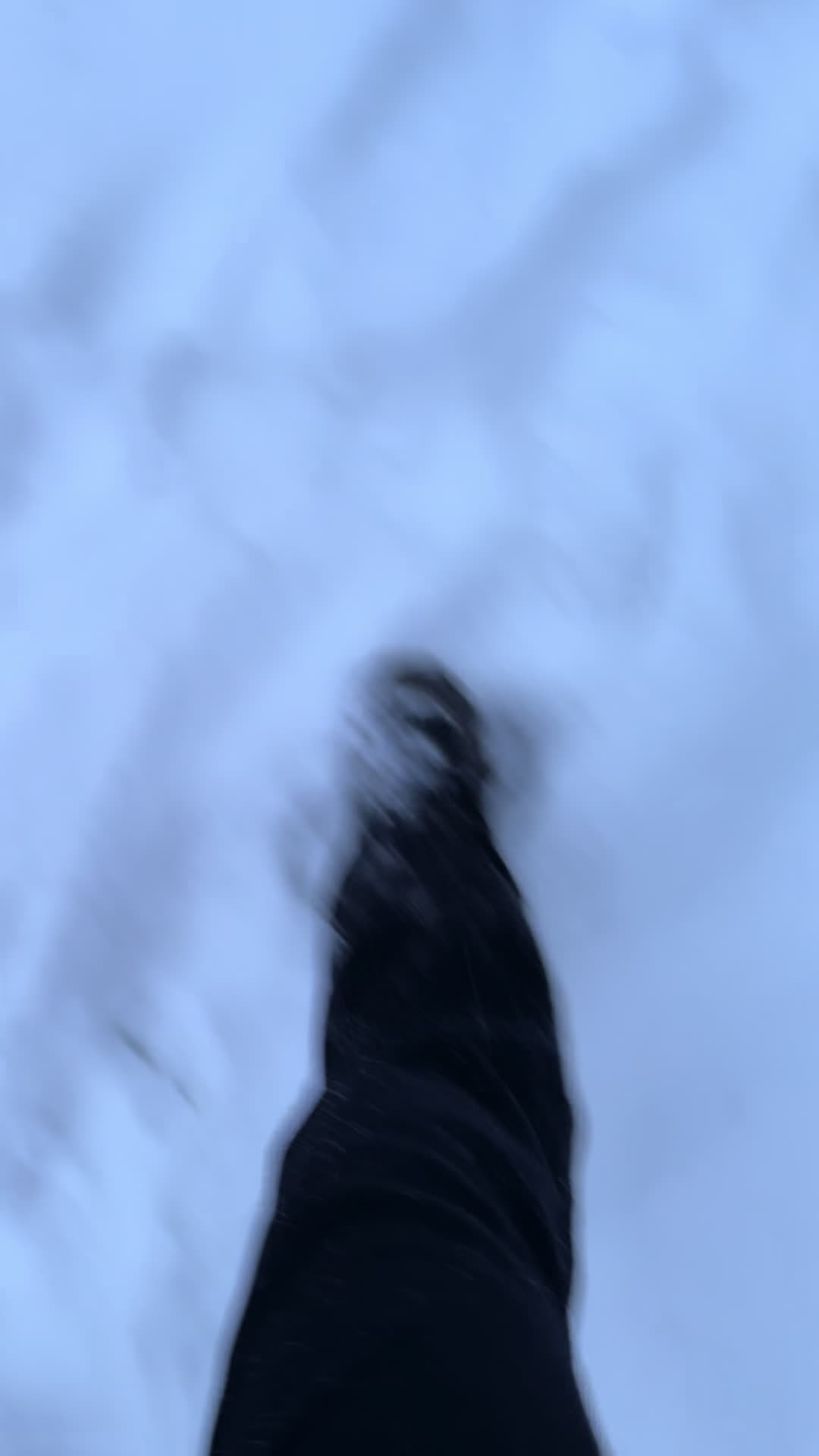@soFk🫶🏻