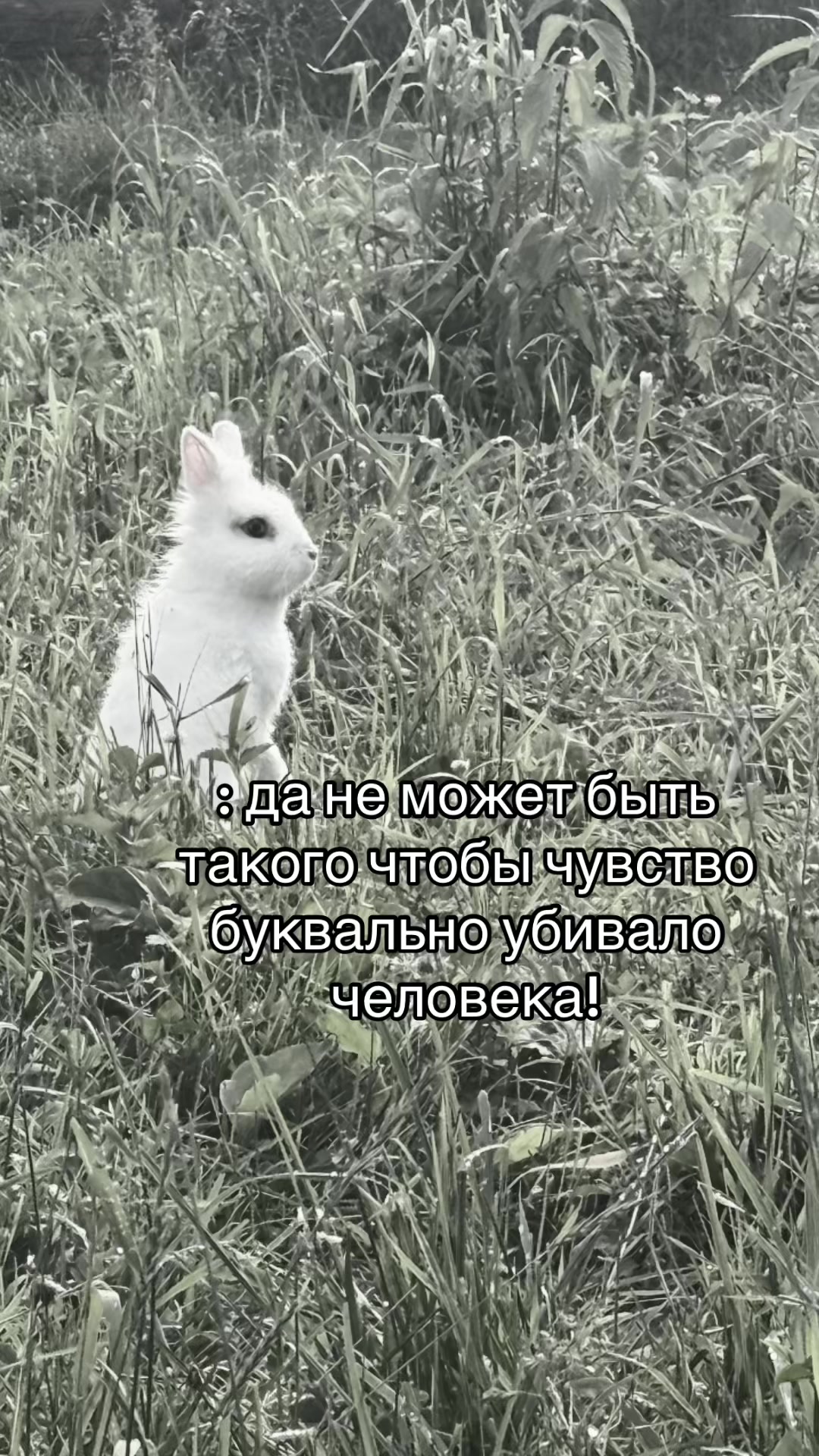 @luniks231