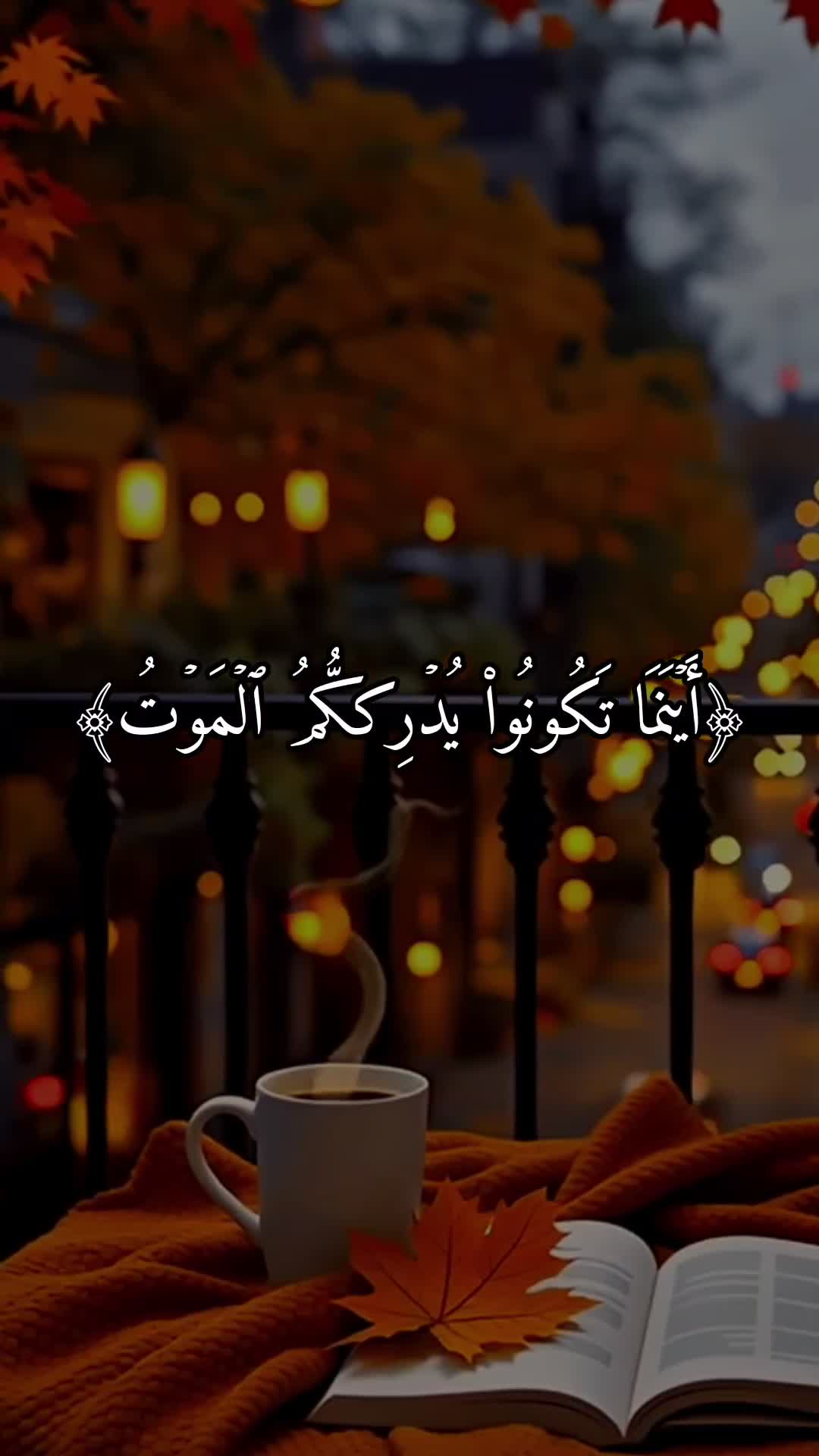 @Quran Hearts | قلوب مع القرآن