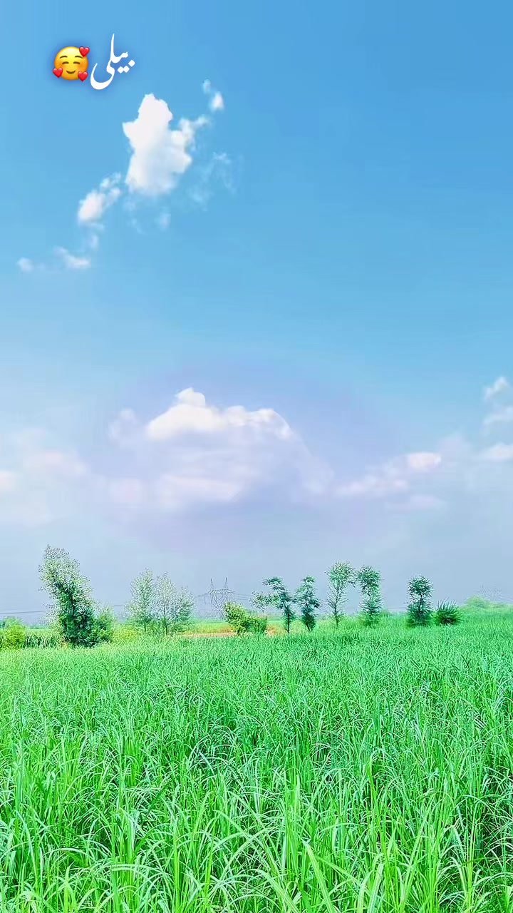 @⚜️فرحان جٹ😎