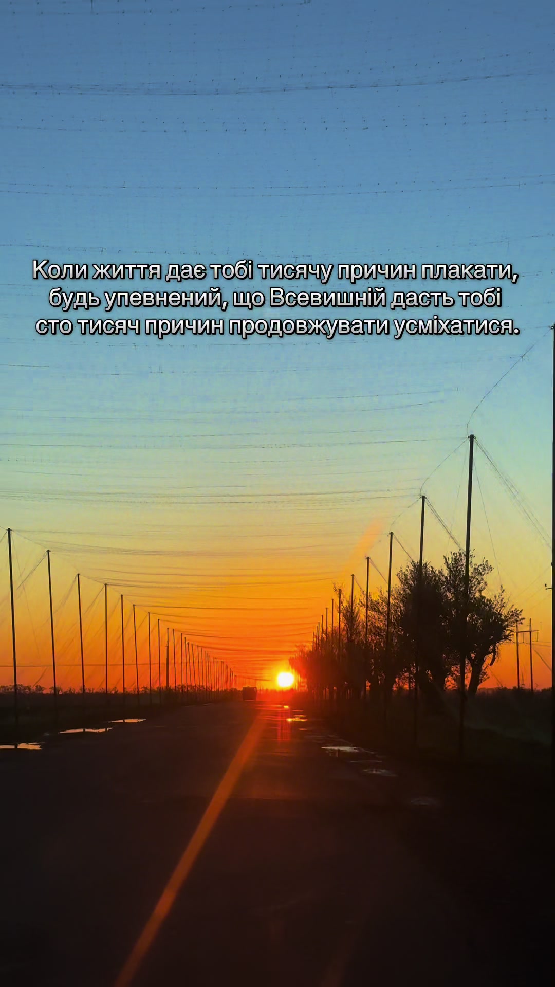 @Inna Palamar