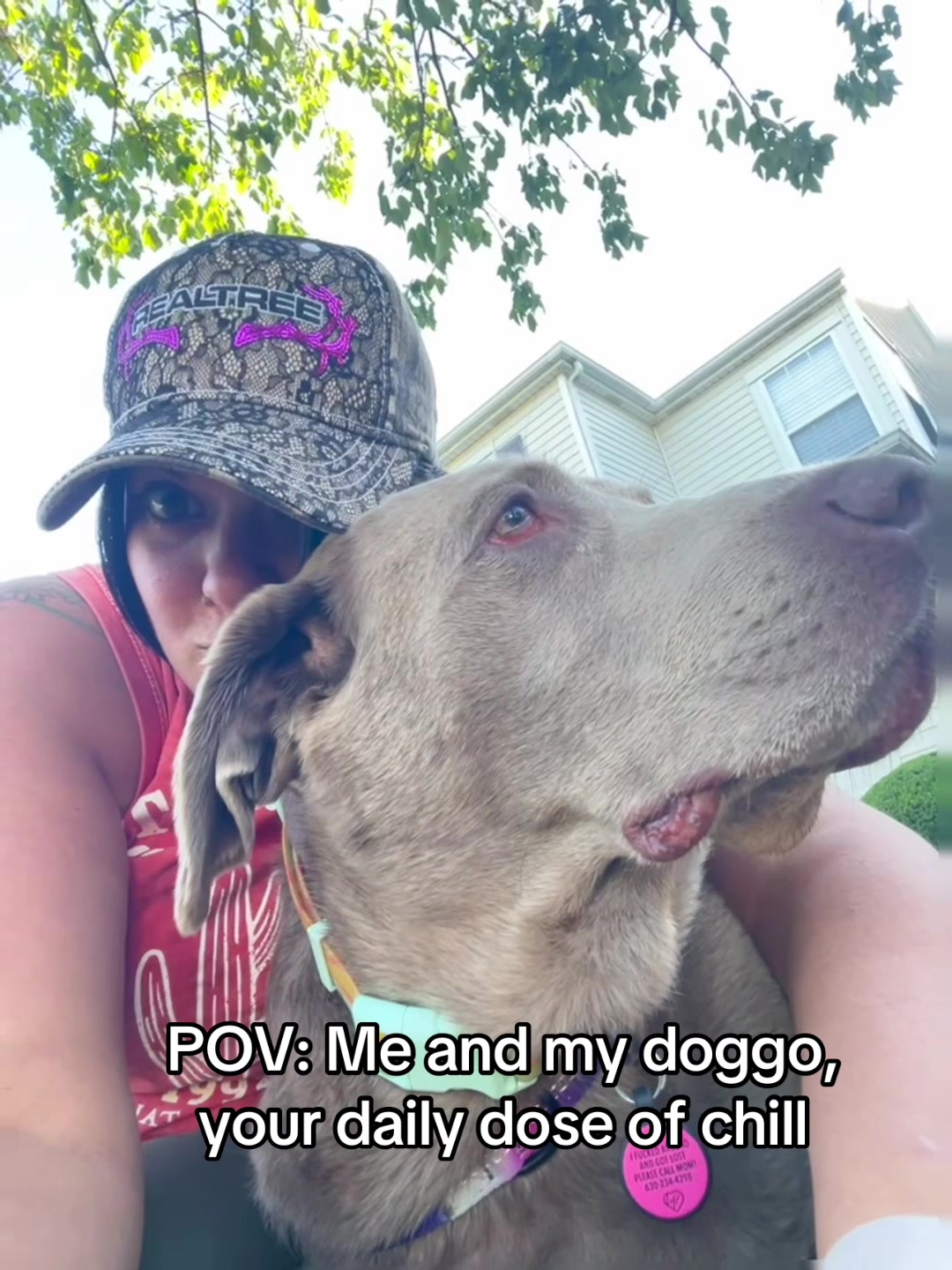 @Misty&rsquo;s🐾Dog Mom
