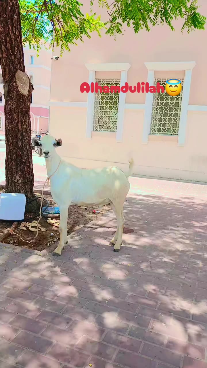 @غریب آدمی 💵