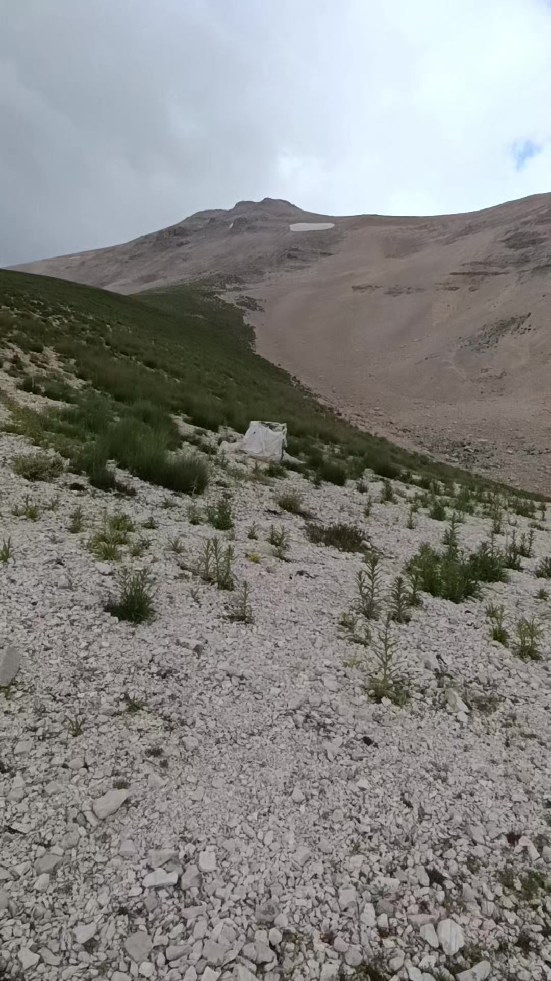 @Nazif Geriş