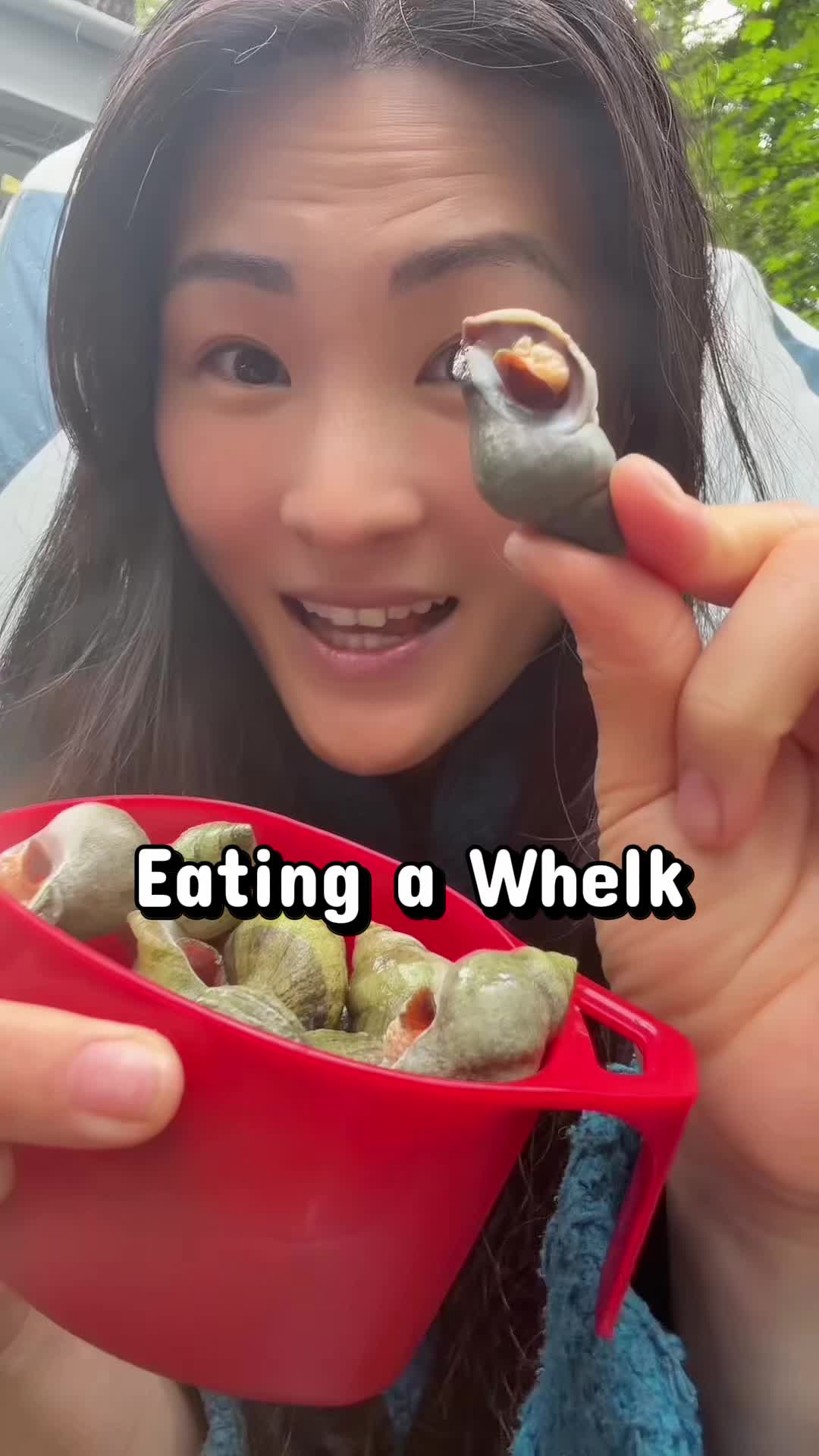 @Annie Niu