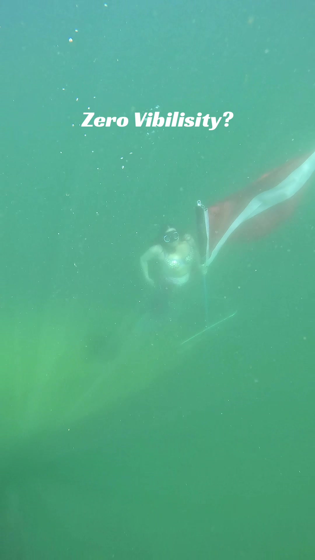 @Gulf Coast Mermaid 🧜&zwj;♀️
