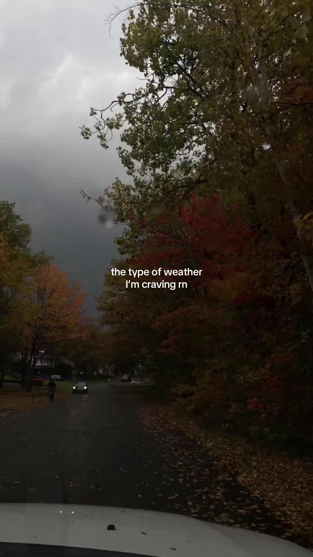 @spookyseasonftw