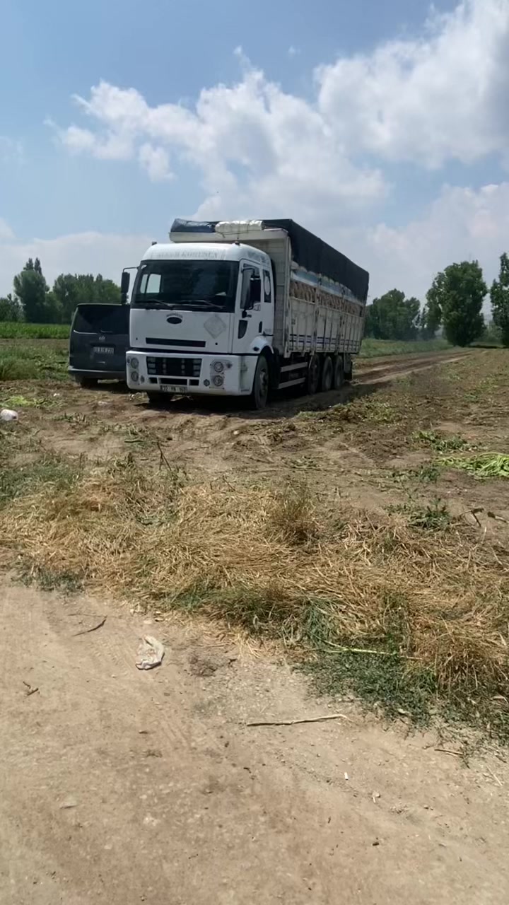 @&ouml;zcan 03