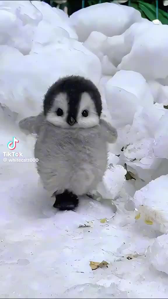 @riellius69