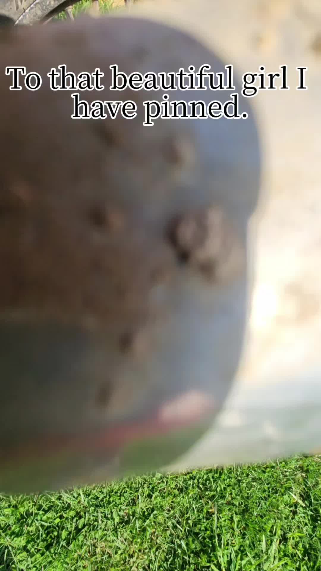 @chillguy223