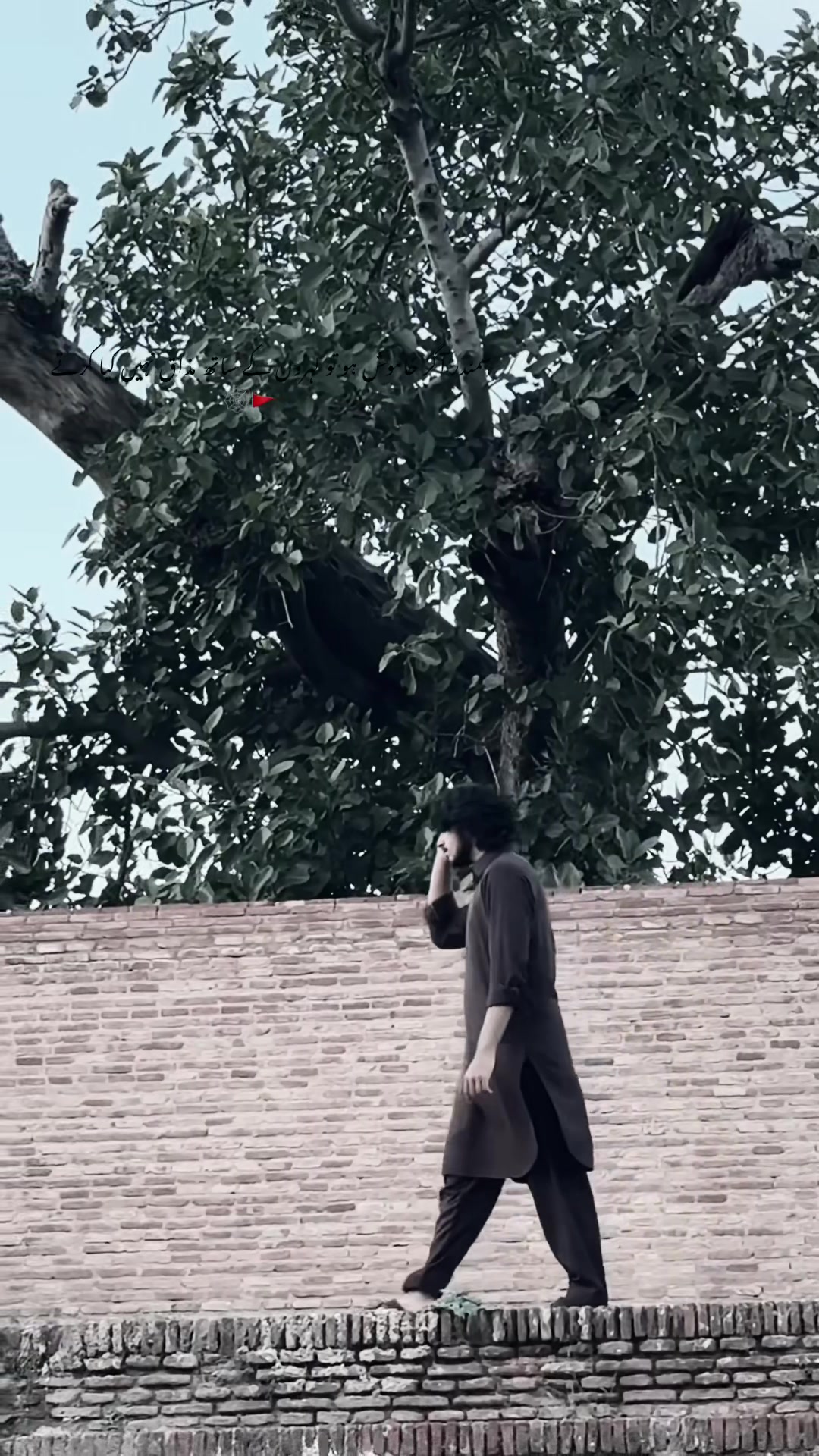 @شمروز مغل