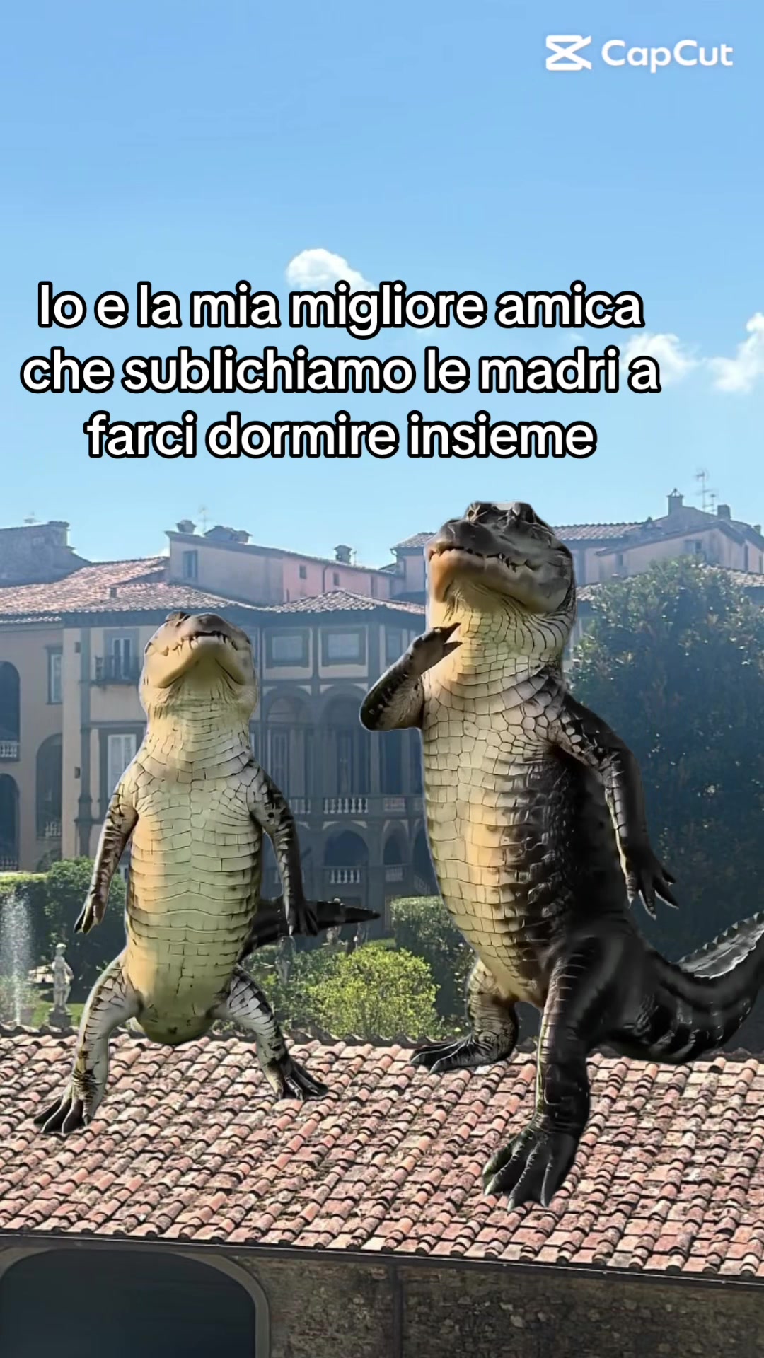 @vero2.42