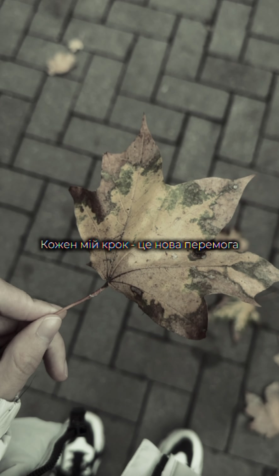 @Anw_🏳️&zwj;🌈